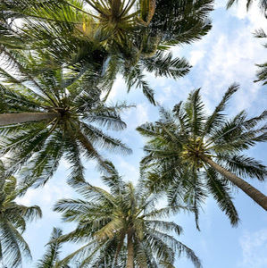 Meet your Posher, Jinester